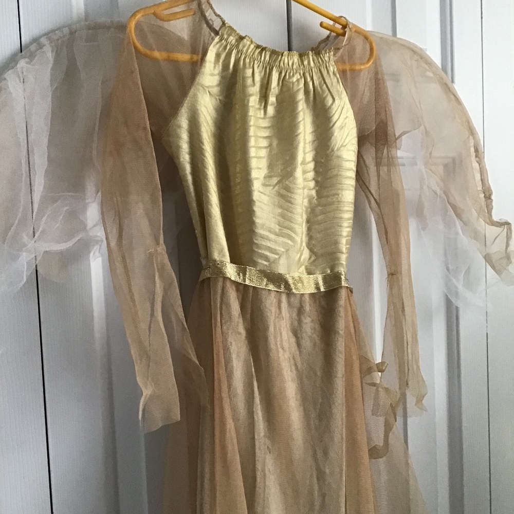 Golden angel costume - Picture 2 of 5